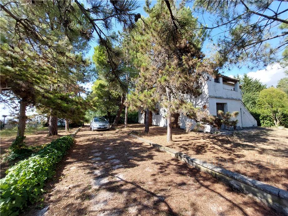Venta Casa de campo Monterubbiano  #Mrb001 n.38