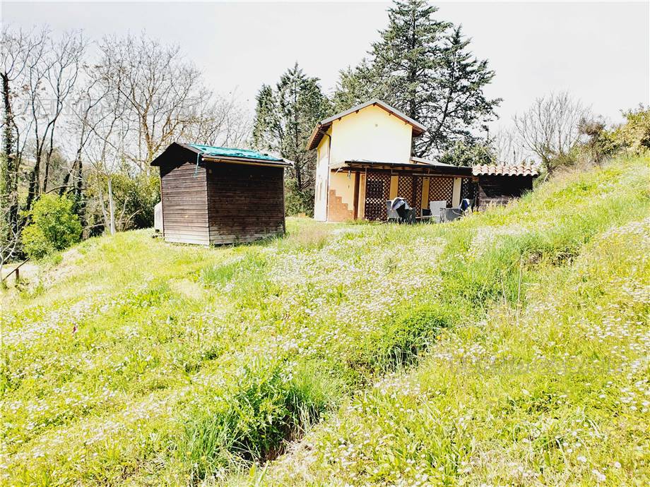 For sale Rural/farmhouse Monte Giberto  #Mgb001 n.38