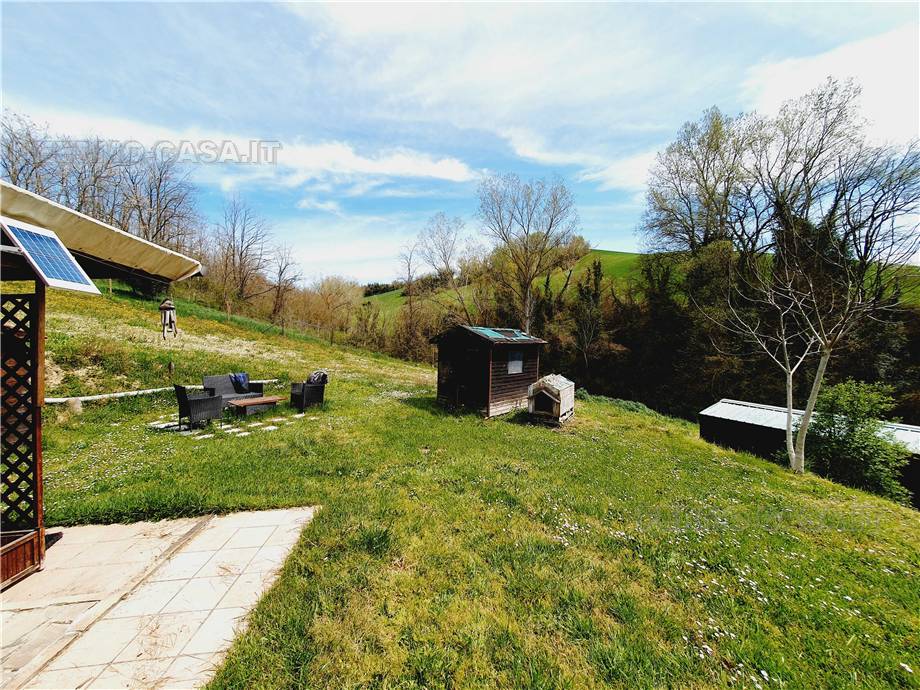 For sale Rural/farmhouse Monte Giberto  #Mgb001 n.39