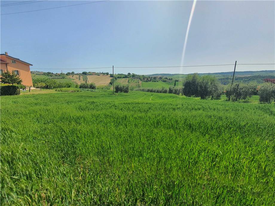 Vendita Terreno Fermo Ete Caldarette #fm016 n.23