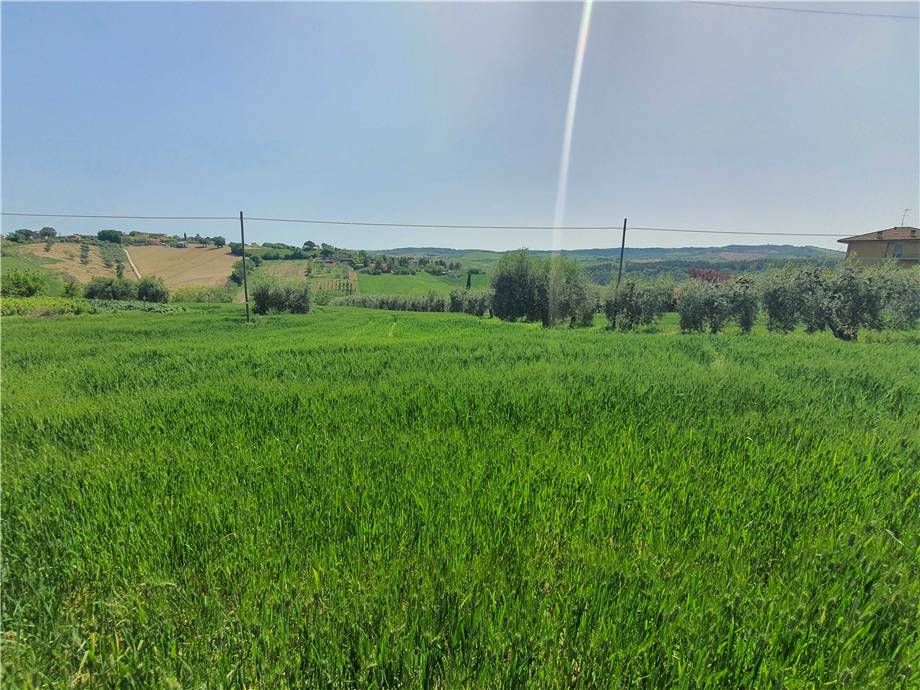 Vendita Terreno Fermo Ete Caldarette #fm016 n.25