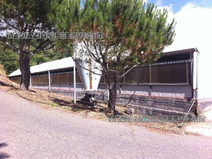 Venta Granja Mascali MASCALI CT #77 n.6