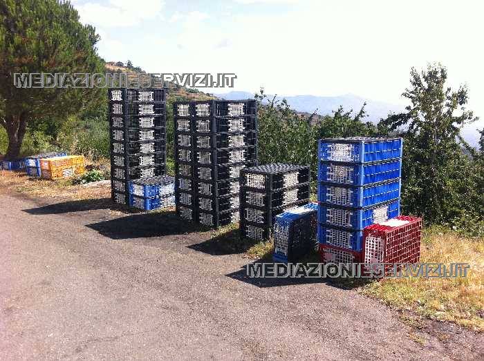 Venta Granja Mascali MASCALI CT #77 n.8