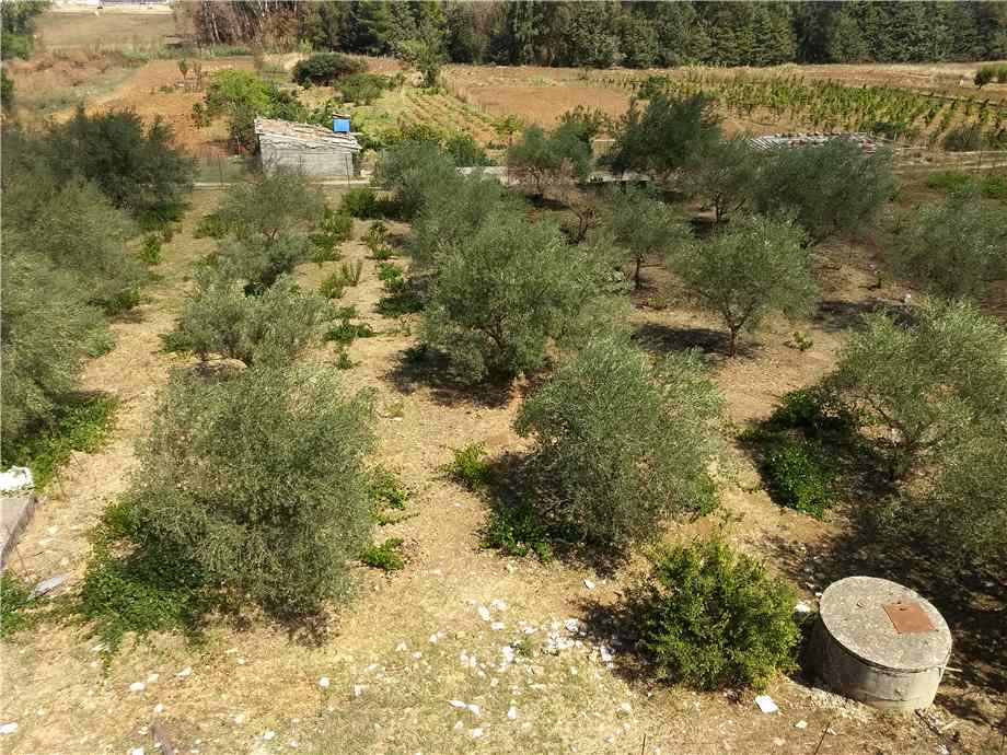 For sale Detached house Piana degli Albanesi  #98 n.19