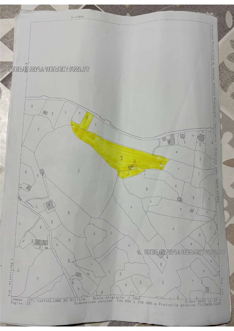 Vendita Terreno Castiglione di Sicilia Solicchiata #152 n.11