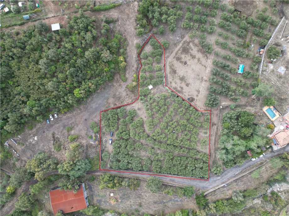 For sale Land Linguaglossa  #165 n.9