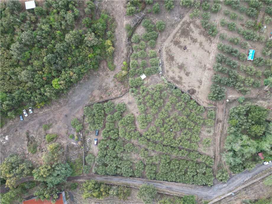 For sale Land Linguaglossa  #165 n.11