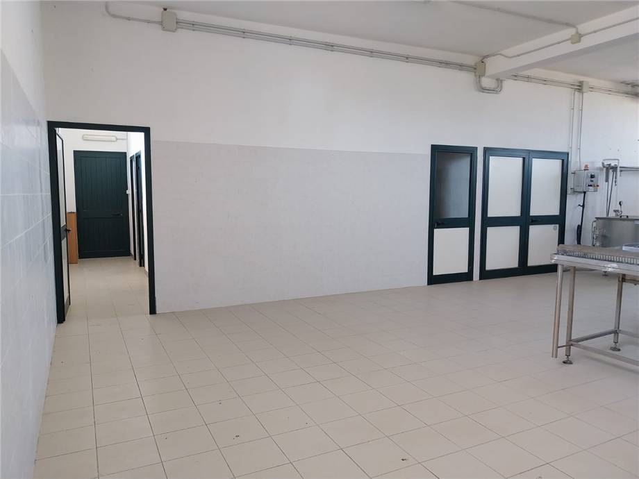 Venta Nave industrial Arborea SASSU #MAR159 n.7
