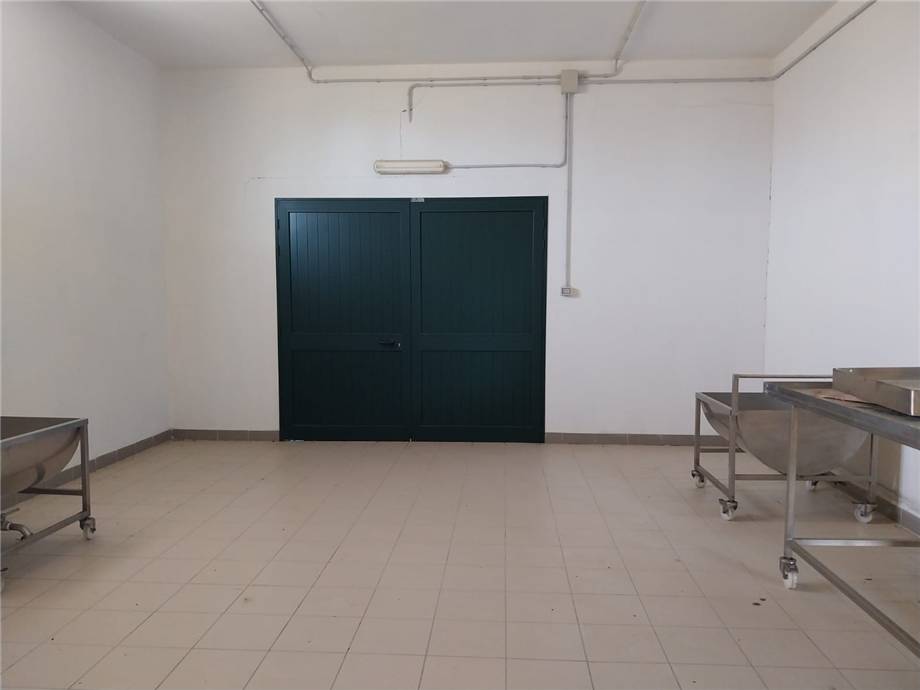 Venta Nave industrial Arborea SASSU #MAR159 n.8