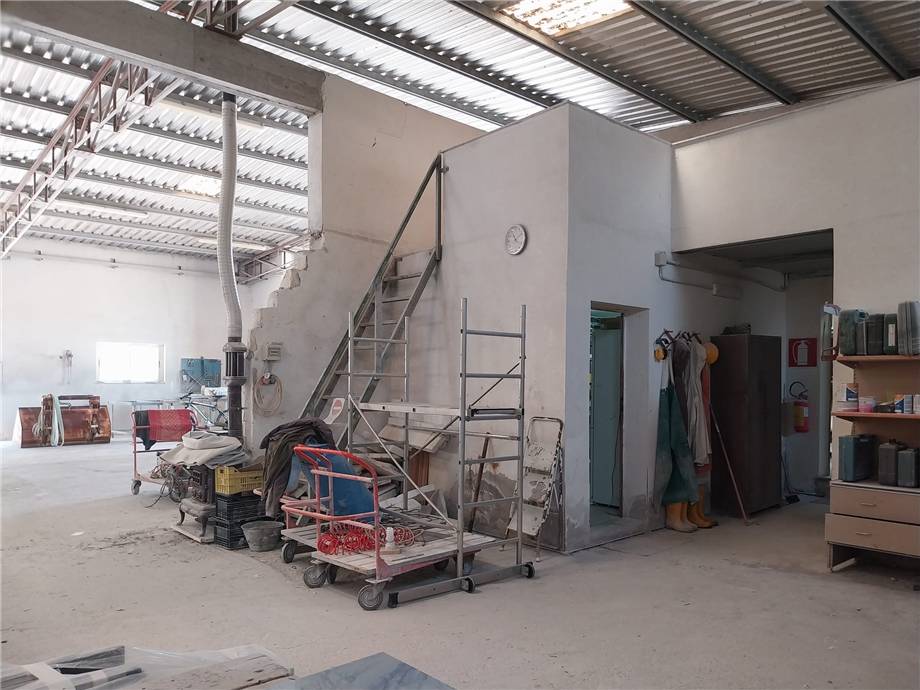 Venta Nave industrial Siamaggiore SS 131 SIAMAGGIORE #MAR164 n.7