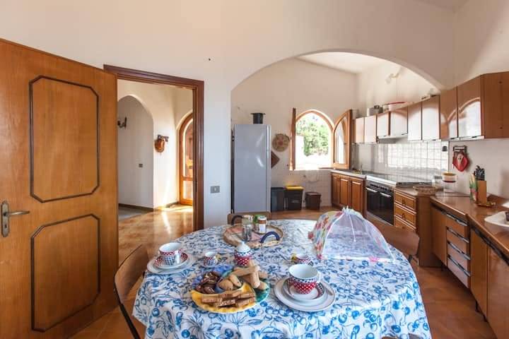 For sale Detached house Cuglieri TORRE DEL POZZO #MAR189 n.6