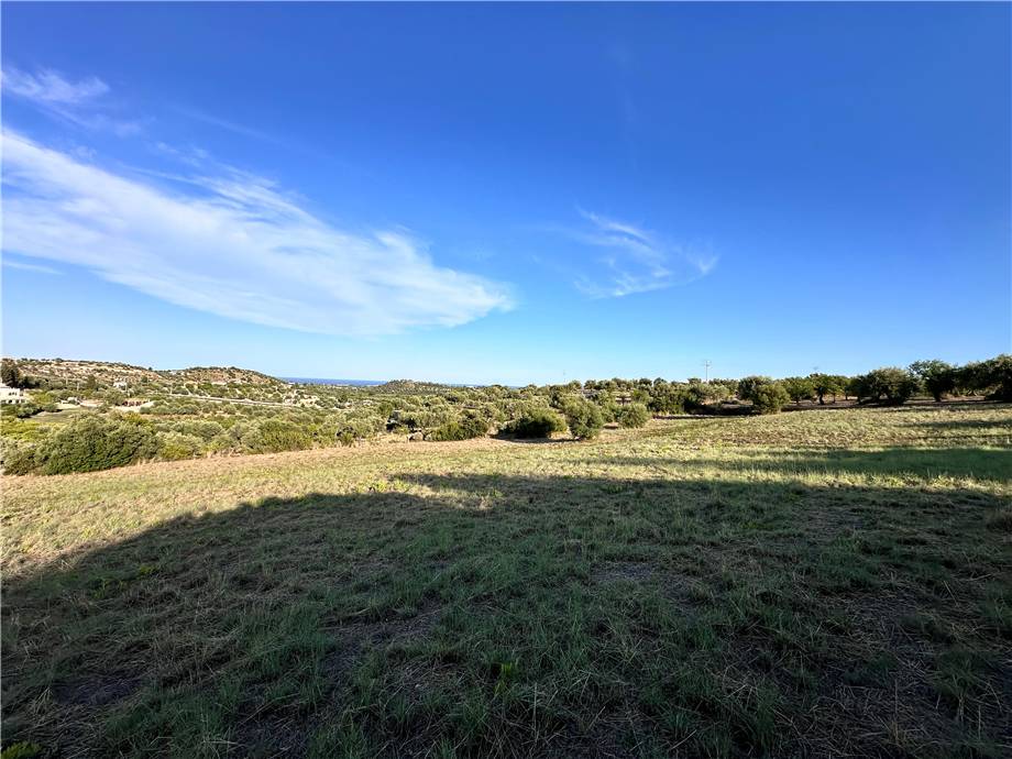 Vendita Terreno Noto #107T n.18