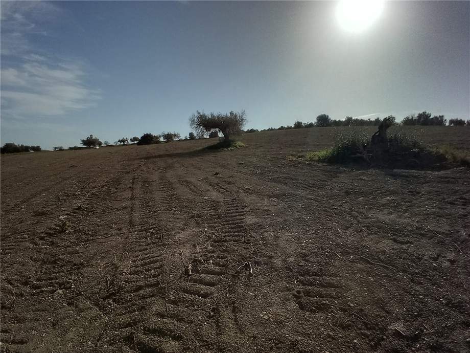 For sale Land Noto  #110T n.15