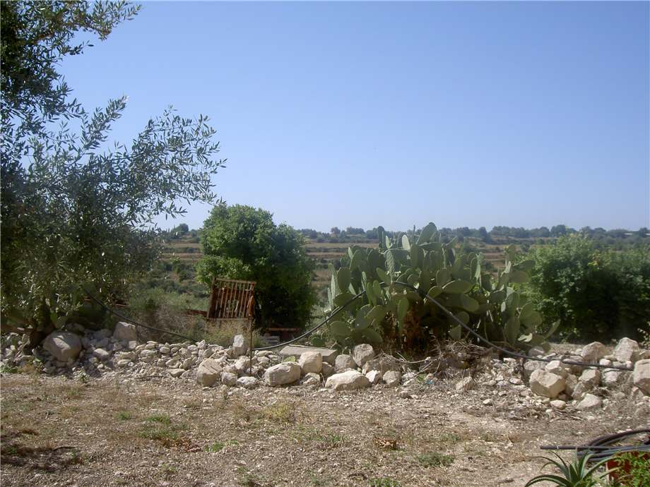 Verkauf Ruine Modica FRIGINTINI #1TM n.16
