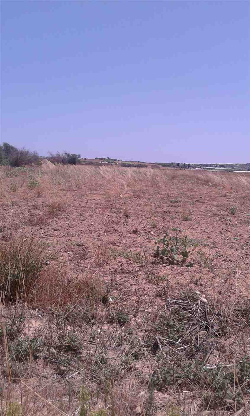 Verkauf Ruine Modica FRIGINTINI #1TM n.19