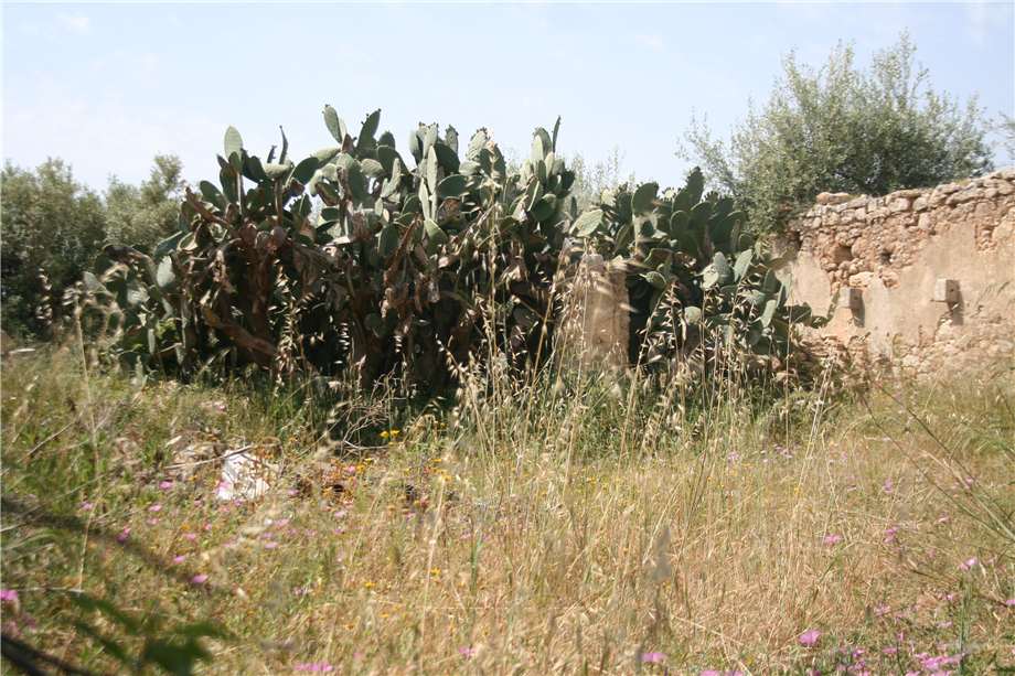 Verkauf Ruine Noto  #32T n.6