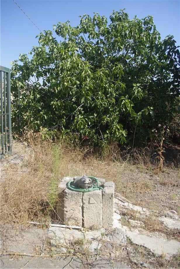 Venta Terreno Melilli #36TM n.16