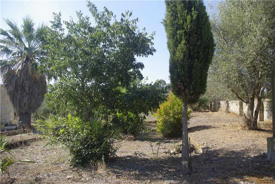 Venta Terreno Melilli #36TM n.17