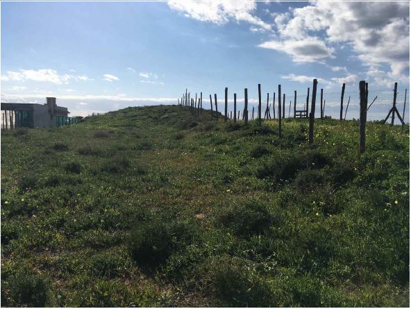Vente Terrain Pachino #64T n.12