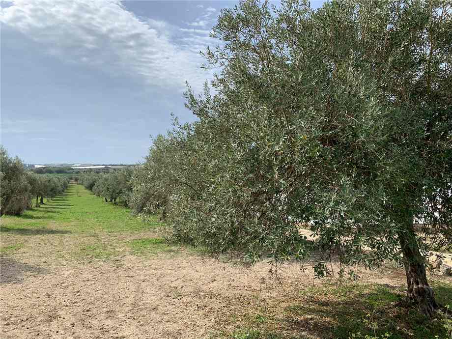 Vendita Rudere Noto  #16T n.10