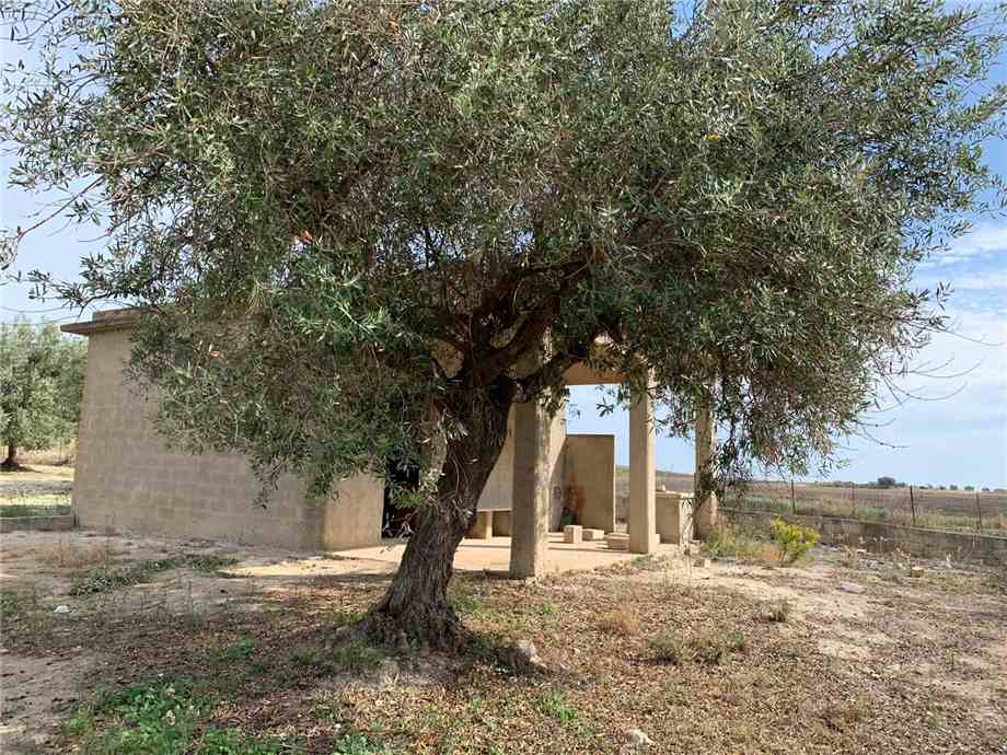 Vendita Rudere Noto  #16T n.11