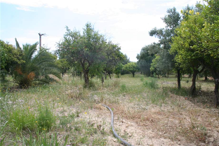 For sale Building Noto  #17S n.11