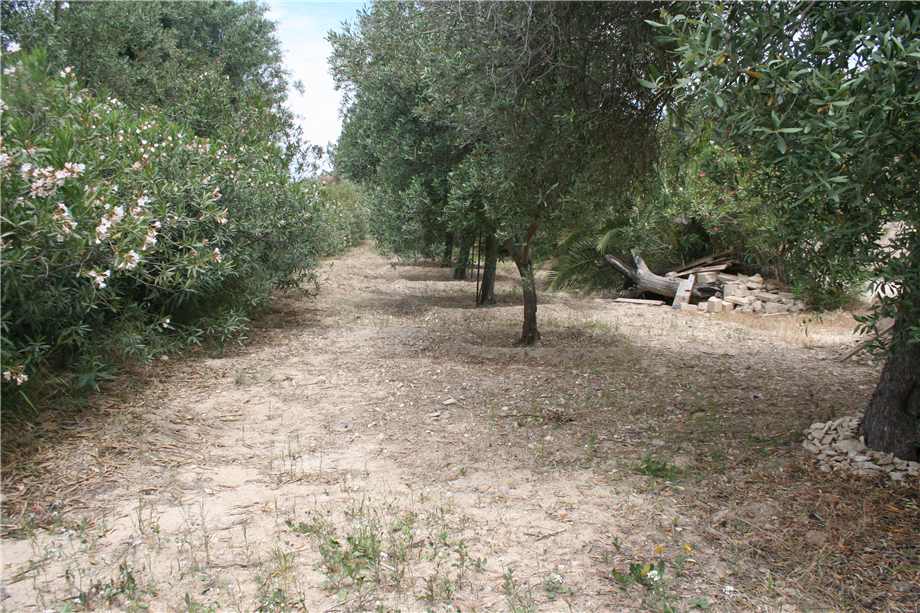 For sale Building Noto  #17S n.12