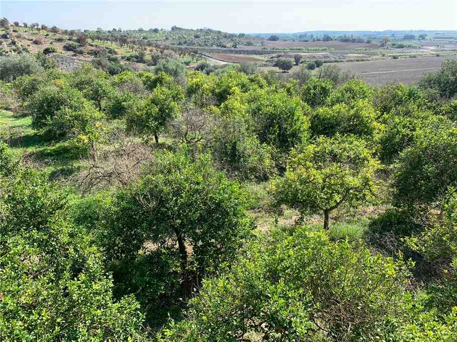 Venta Terreno Noto #18T n.11