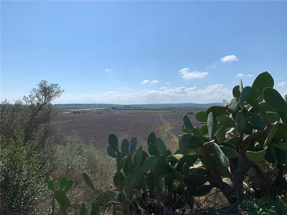 Venta Terreno Noto #18T n.12