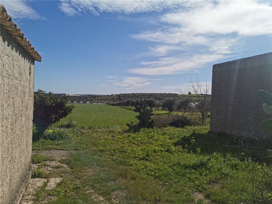 For sale Land Noto  #68T n.18