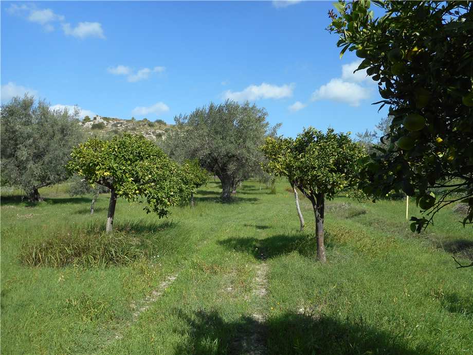 Vendita Terreno edificabile Noto  #1TA n.12