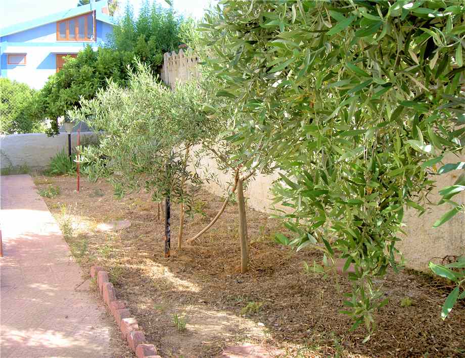For sale Single-family Villa Noto LIDO DI NOTO #5VM n.7