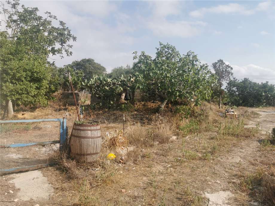 Venta Rústico/Casa de campo Noto TESTA DELL'ACQUA #CTCT n.16