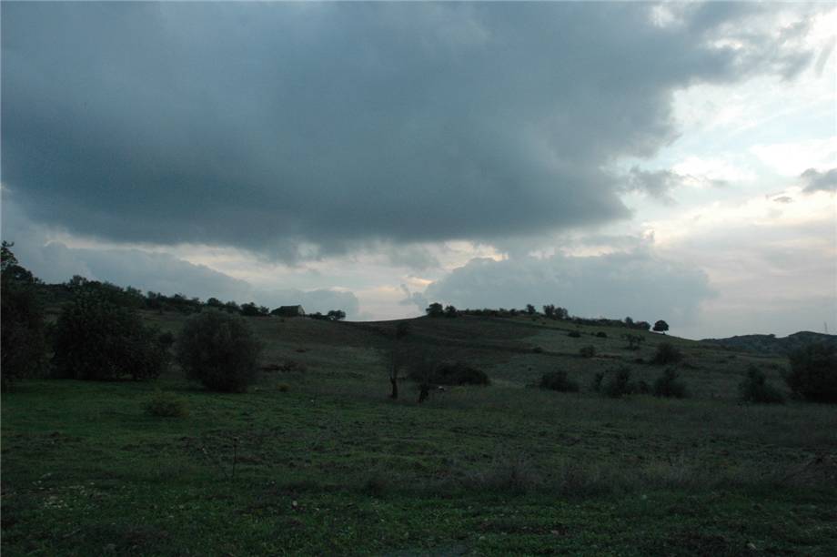 For sale Land Noto  #294T n.6