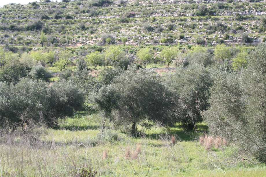 Vendita Rudere Noto  #46T n.16