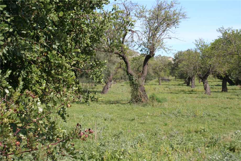 Venta Ruina Noto #46T n.18