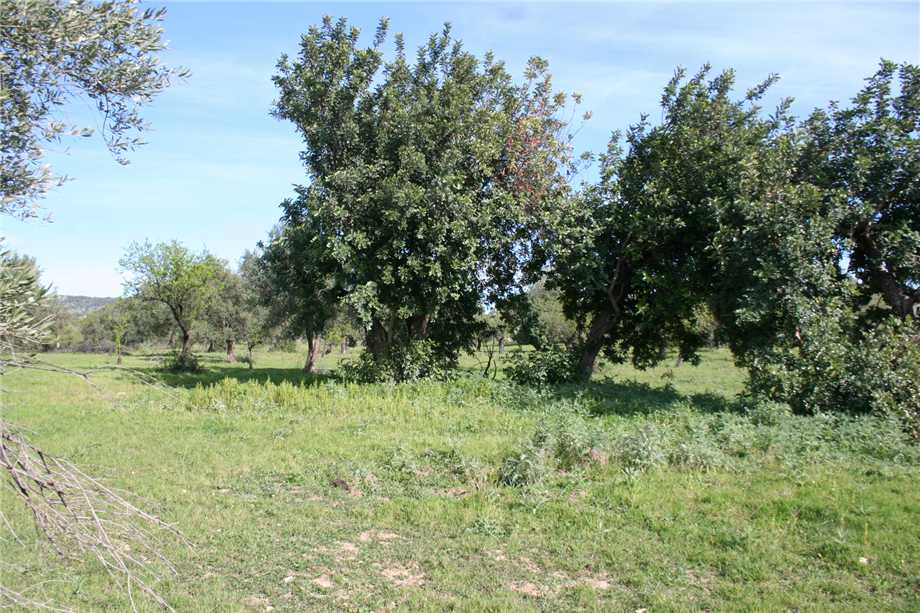 Vendita Rudere Noto  #46T n.19