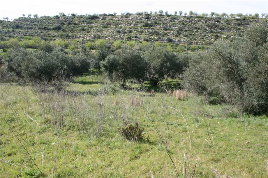 Vendita Rudere Noto  #46T n.20