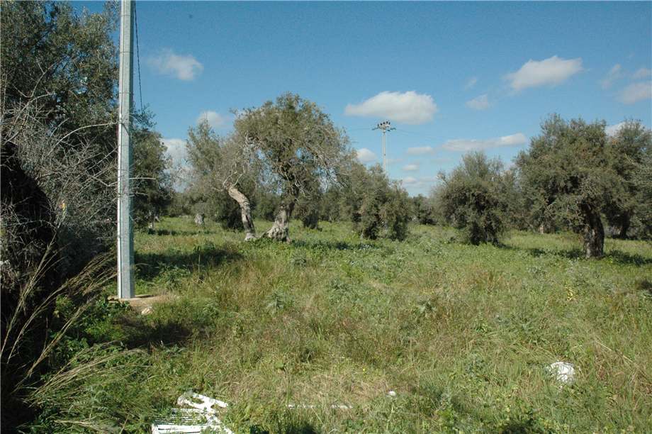 Venta Terreno Canicattini Bagni C/DA BOSCO DI SOPRA #2T n.17