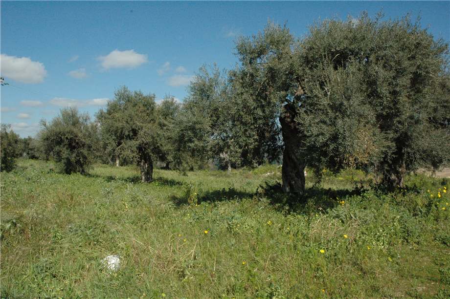 Venta Terreno Canicattini Bagni C/DA BOSCO DI SOPRA #2T n.18