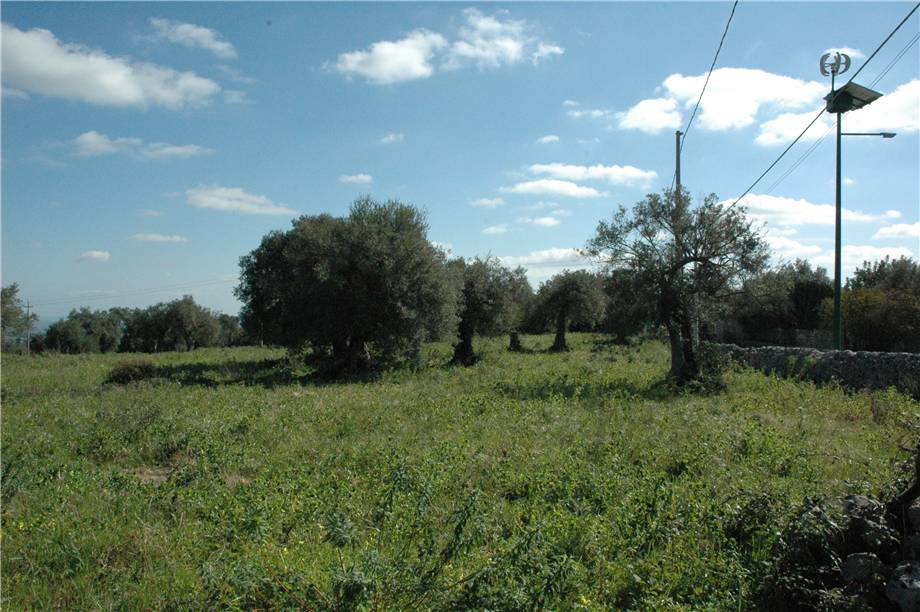 Venta Terreno Canicattini Bagni C/DA BOSCO DI SOPRA #2T n.19
