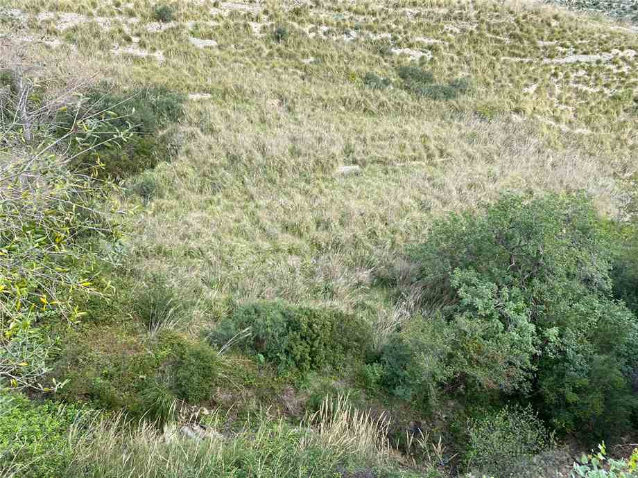 Vente Terrain Avola #36T n.8