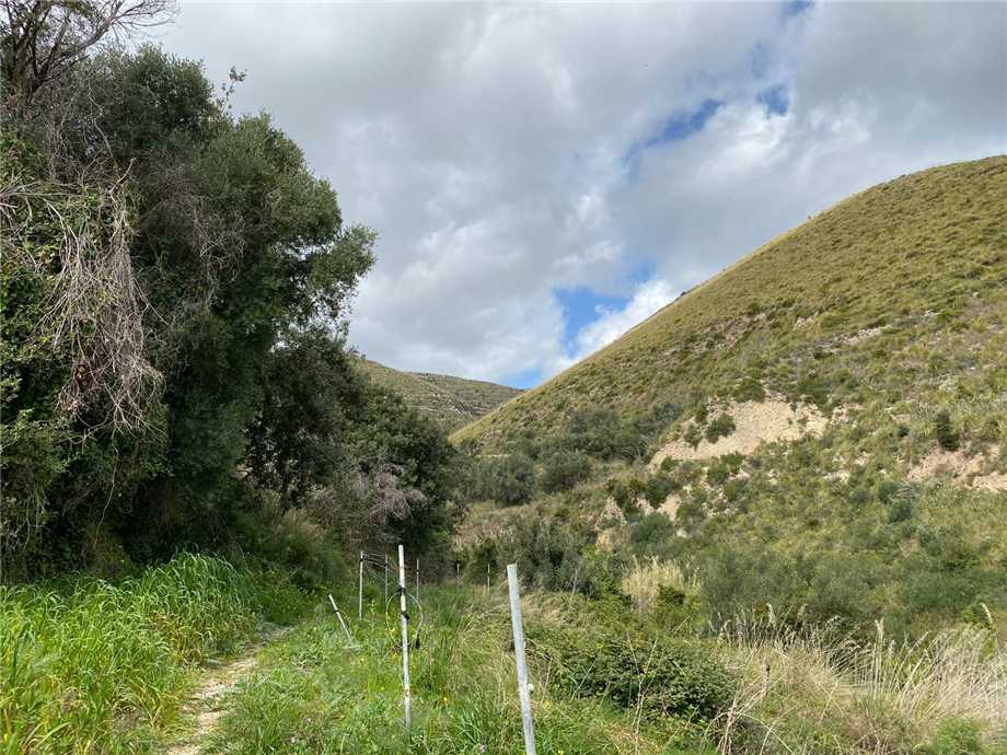 Vente Terrain Avola #36T n.11