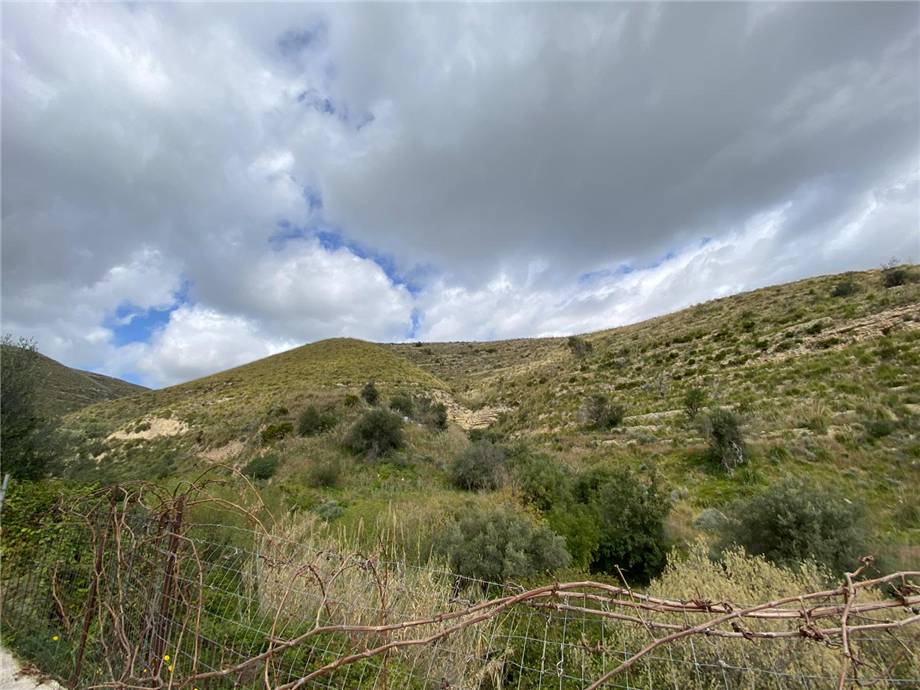 Vente Terrain Avola #36T n.12