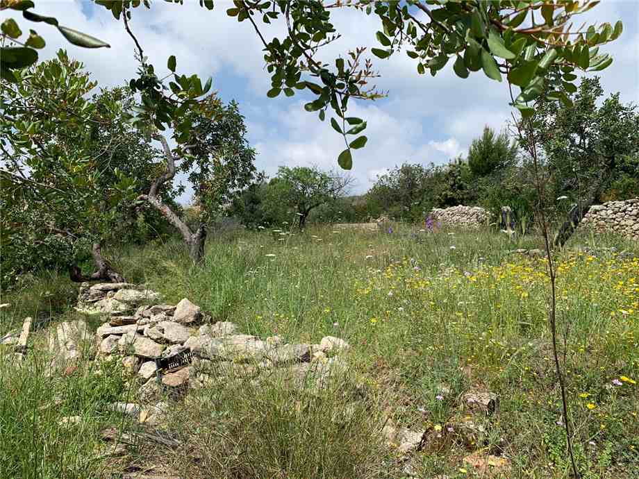 Verkauf Ruine Noto  #35T n.17