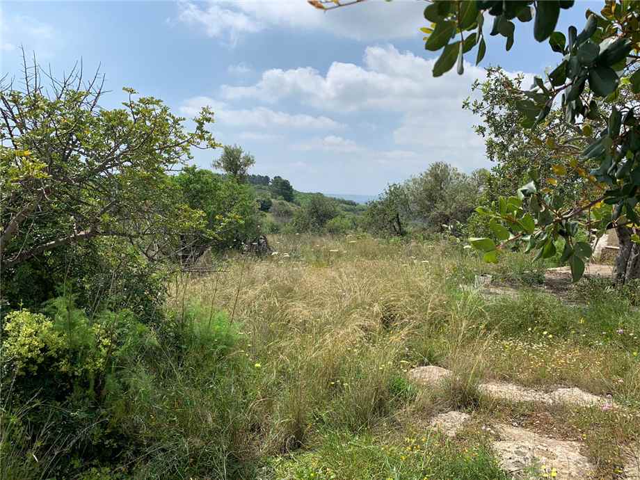 For sale Land Noto  #35T n.18