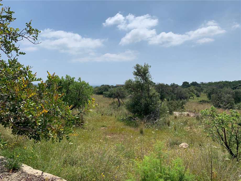 For sale Land Noto  #35T n.19