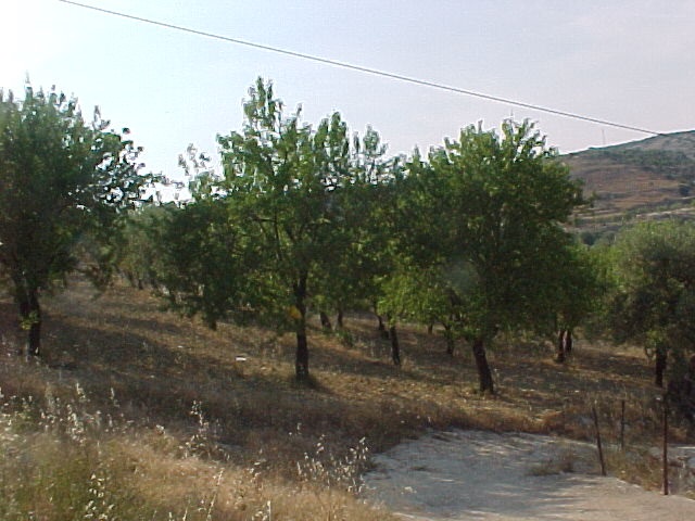 Venta Ruina Avola  #131T n.7