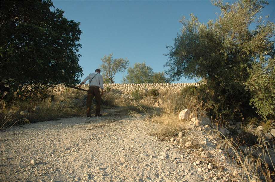 Vente Terrain Pachino #230T n.20