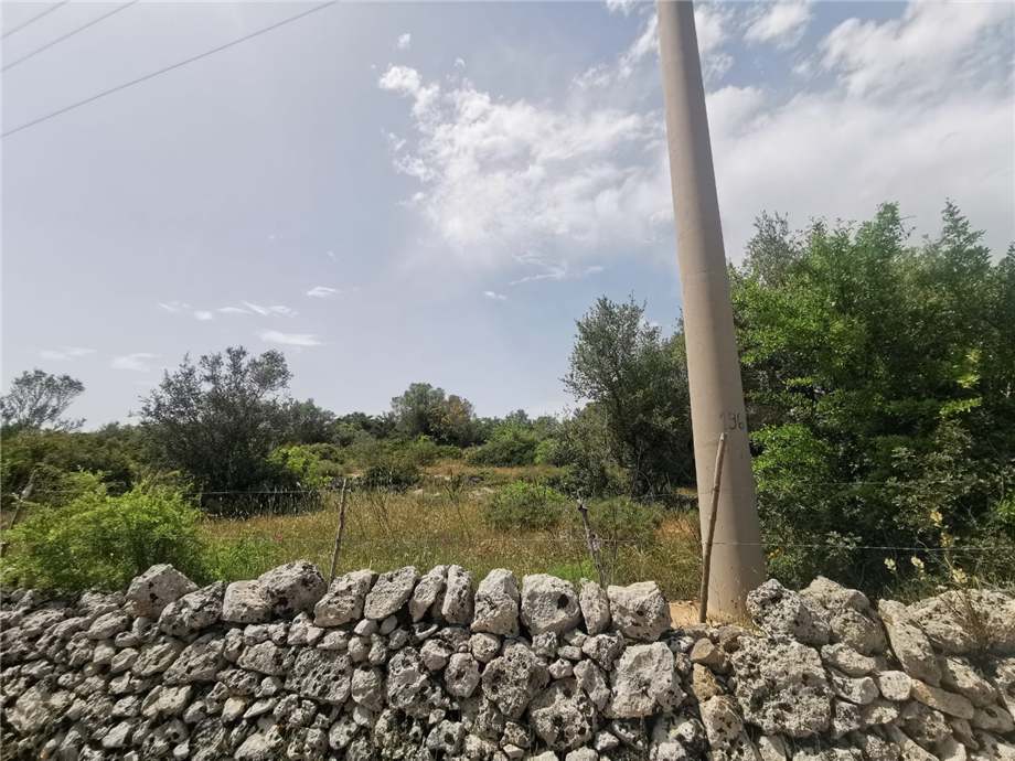 For sale Bare land Noto #28T n.6